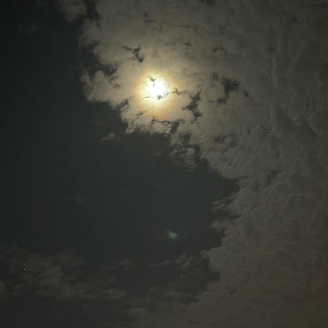 用户15537680