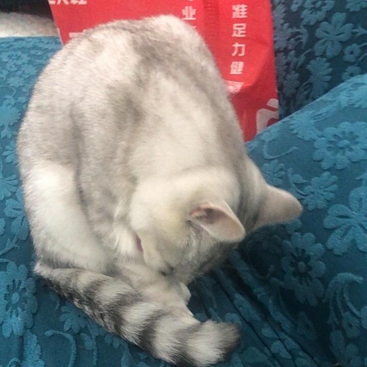 陈宣妤