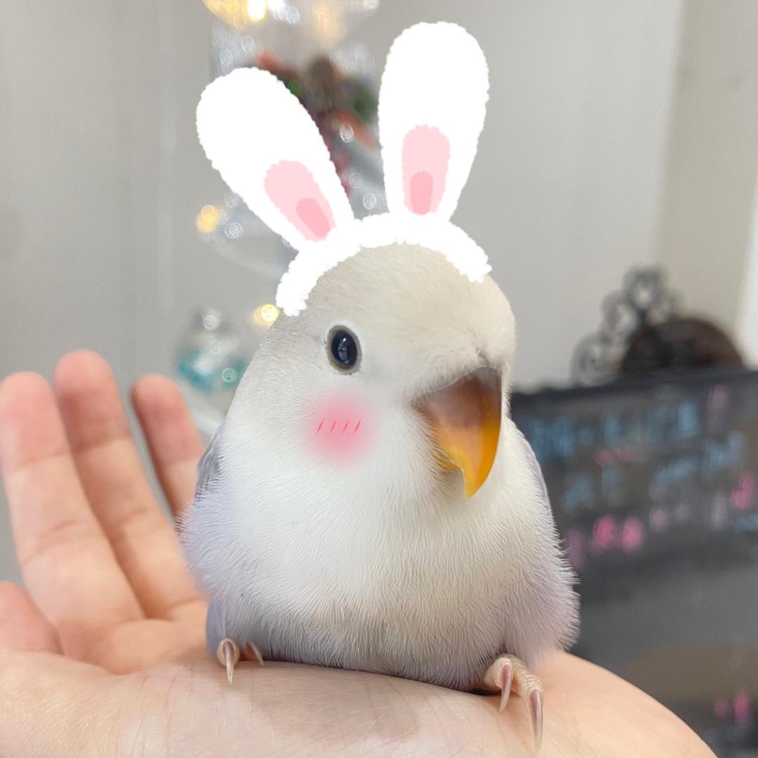 馒头馒头