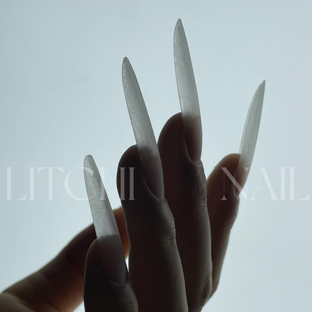 荔枝里·美学（LITCHI）