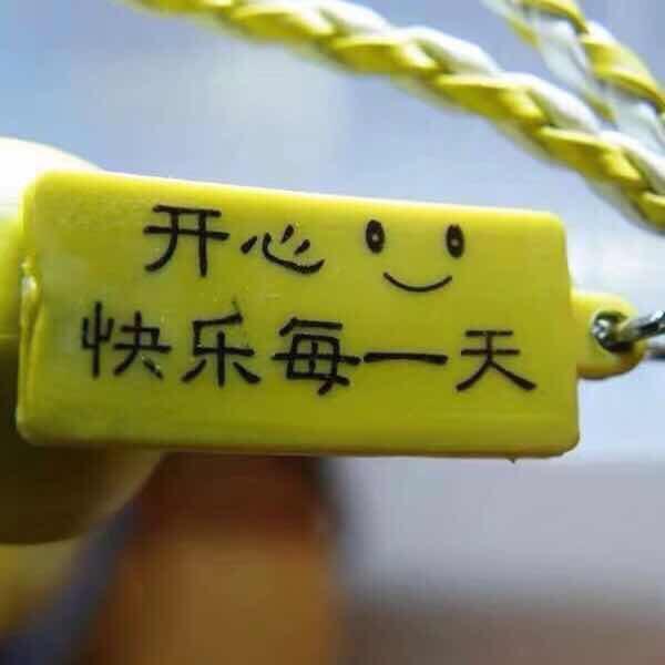 才高八斗