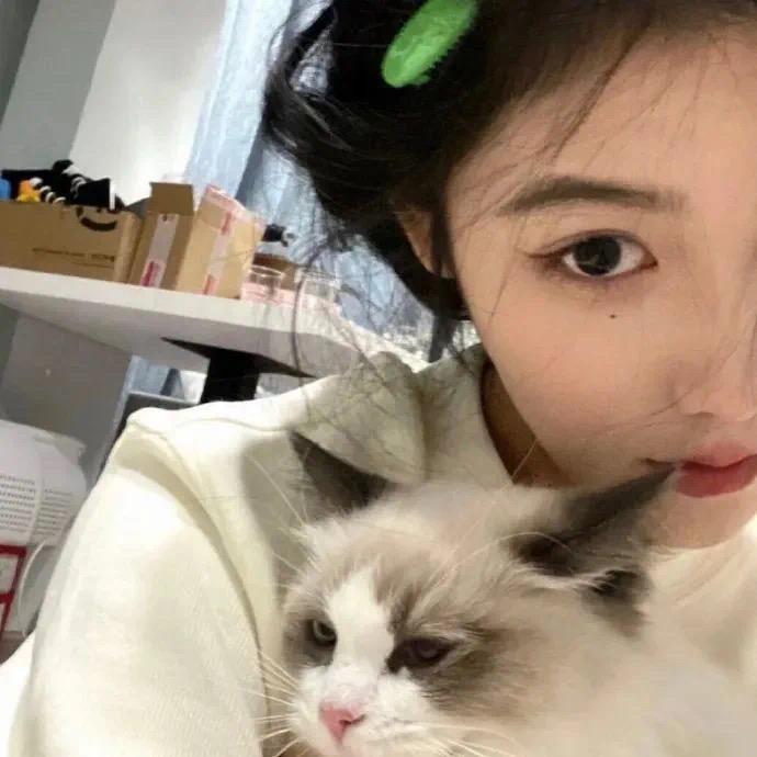 甜卤猪爪