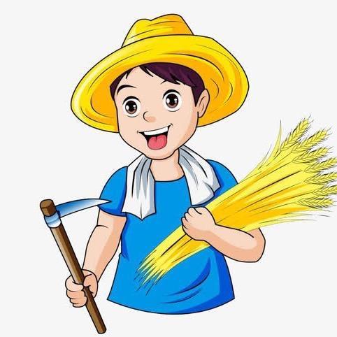 陕西涛涛