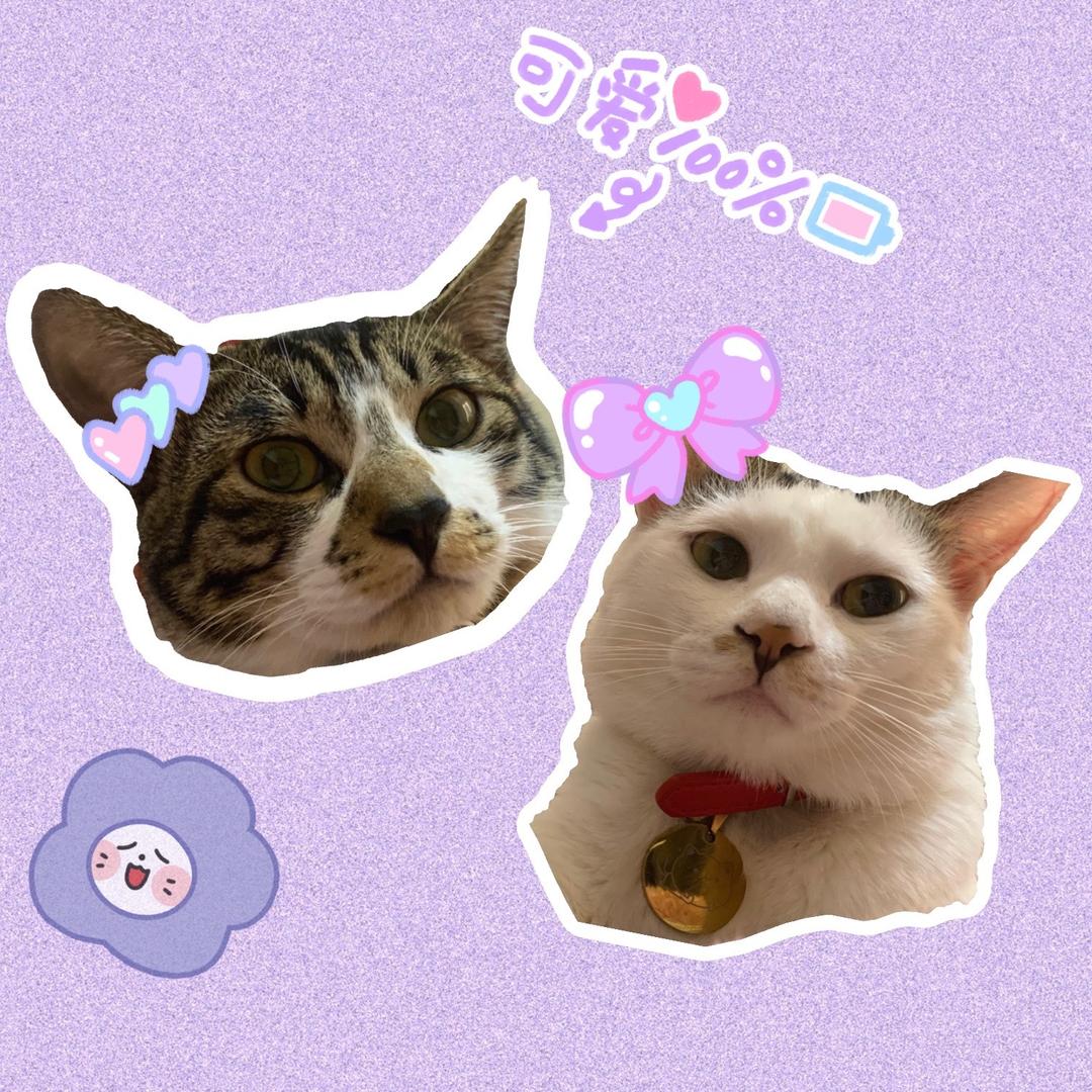 阿芹