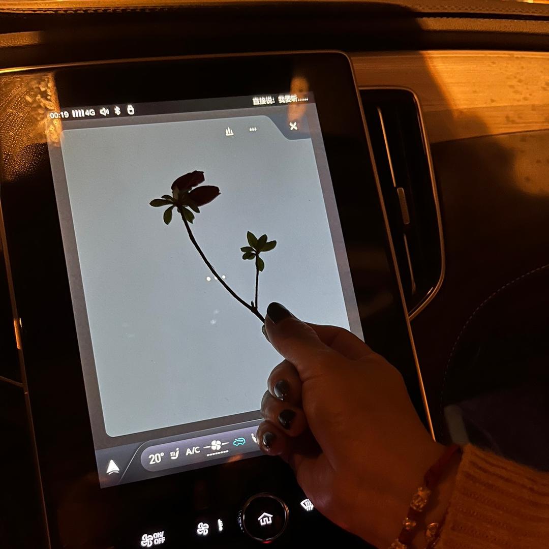 金🍀生💋今🍺世