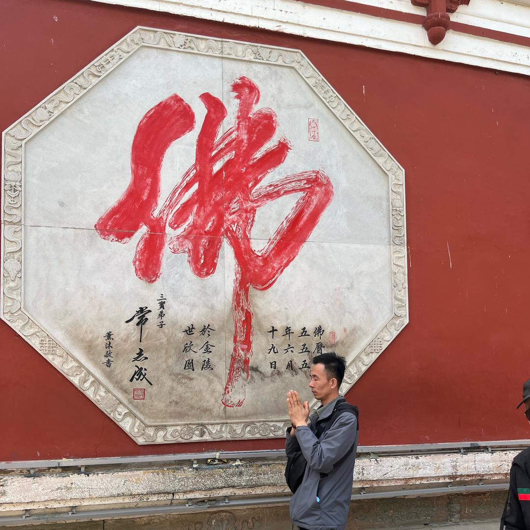 景龙水电 阳高大接杏 旅游门票