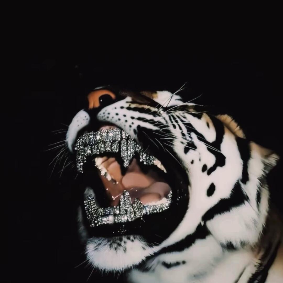 欧美