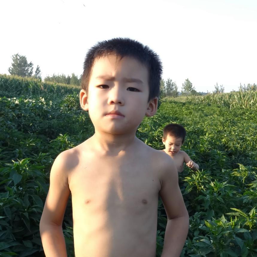 花海下的魔术师