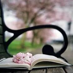 吖吖🧚‍♀️图书文具