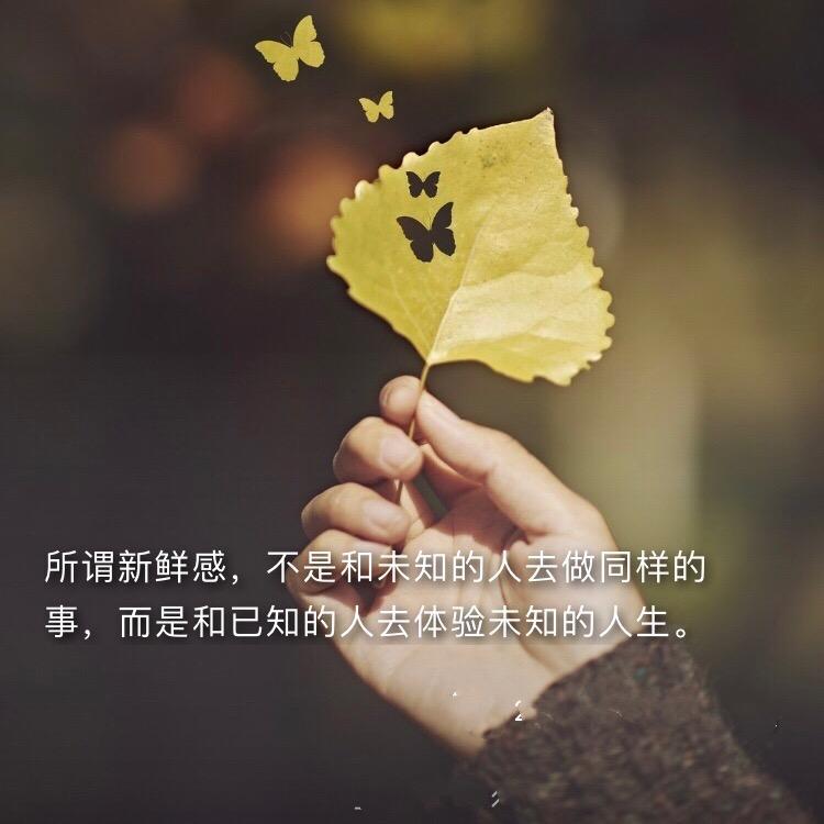 若烟十七