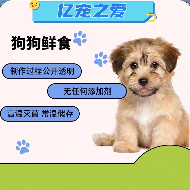 亿宠之爱