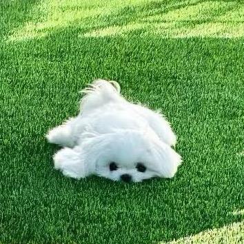 有点饿了