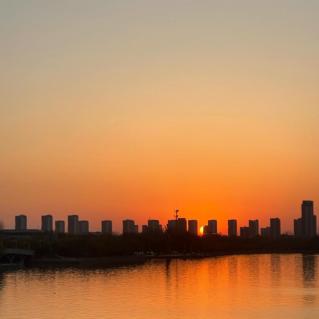 洛可栖栖