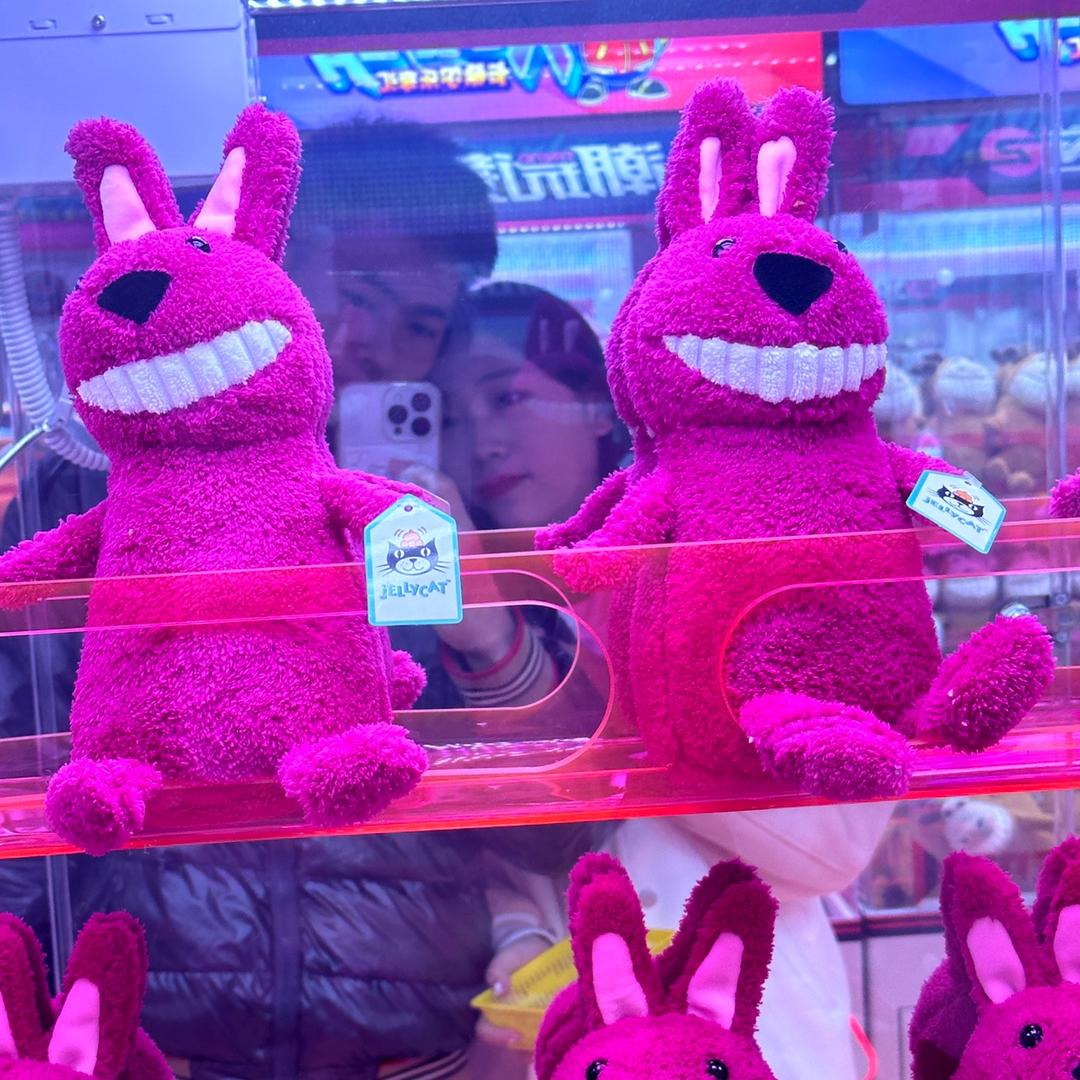 沈杨