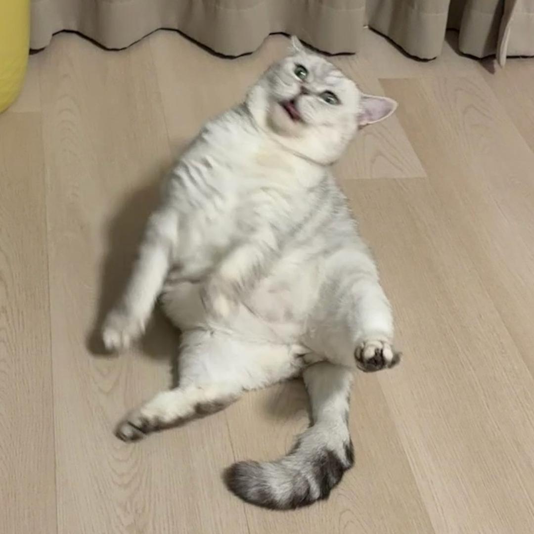 阿阳.