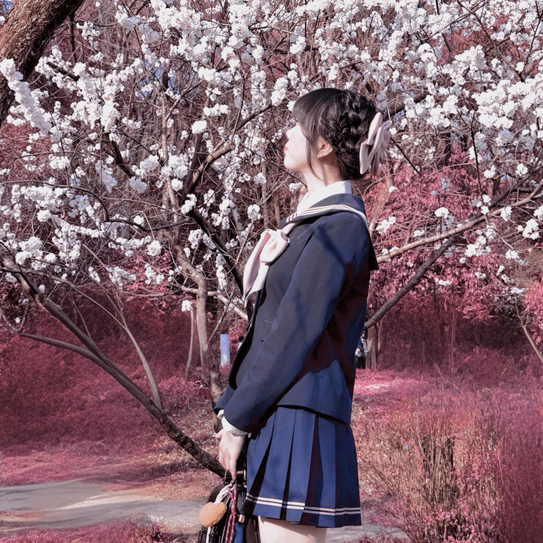 花开富贵🪷
