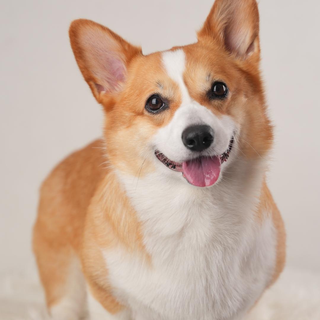 米子涵