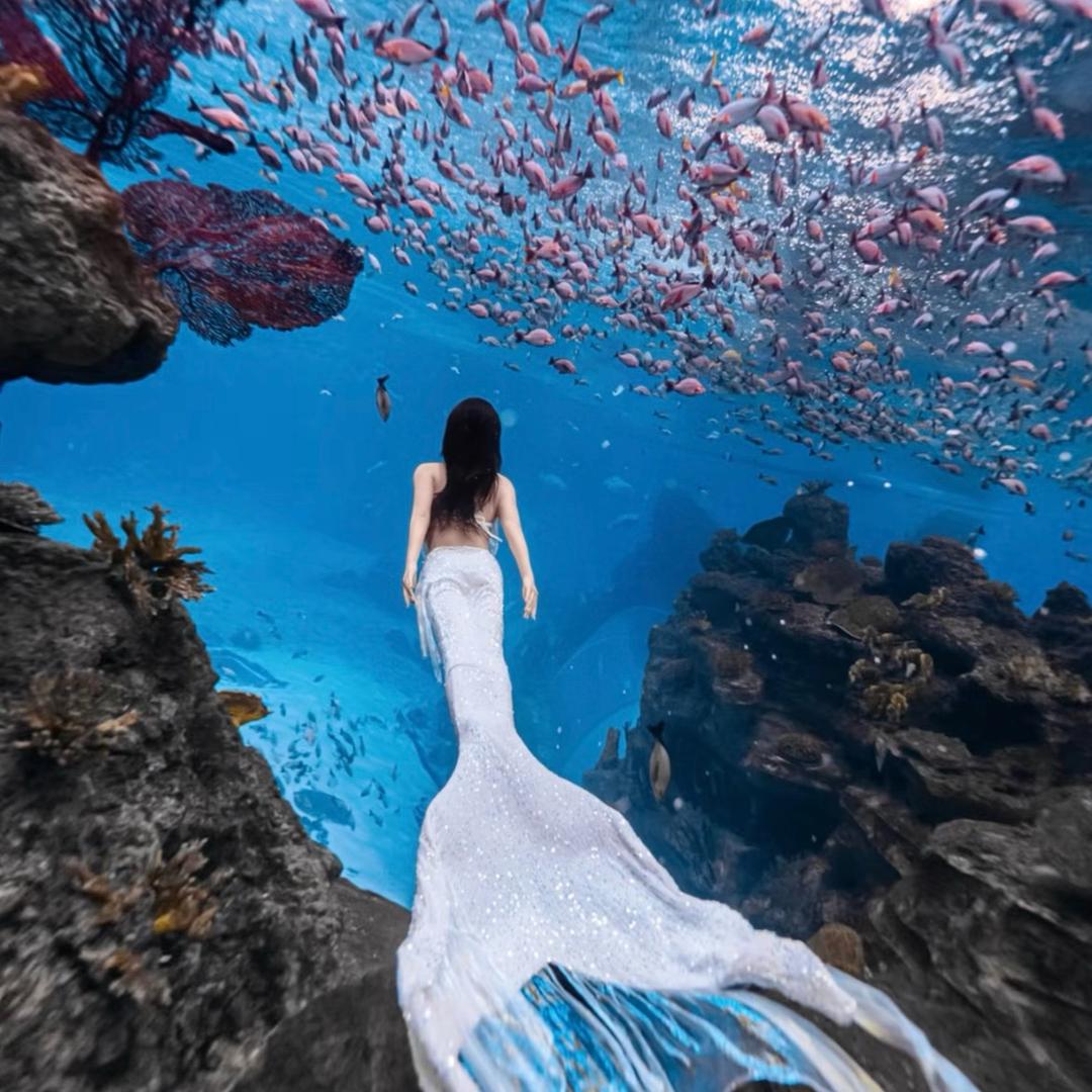 ✨举个麗子💧