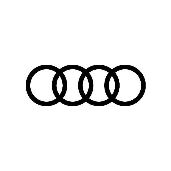 一汽奥迪锡盟庞大奥兴