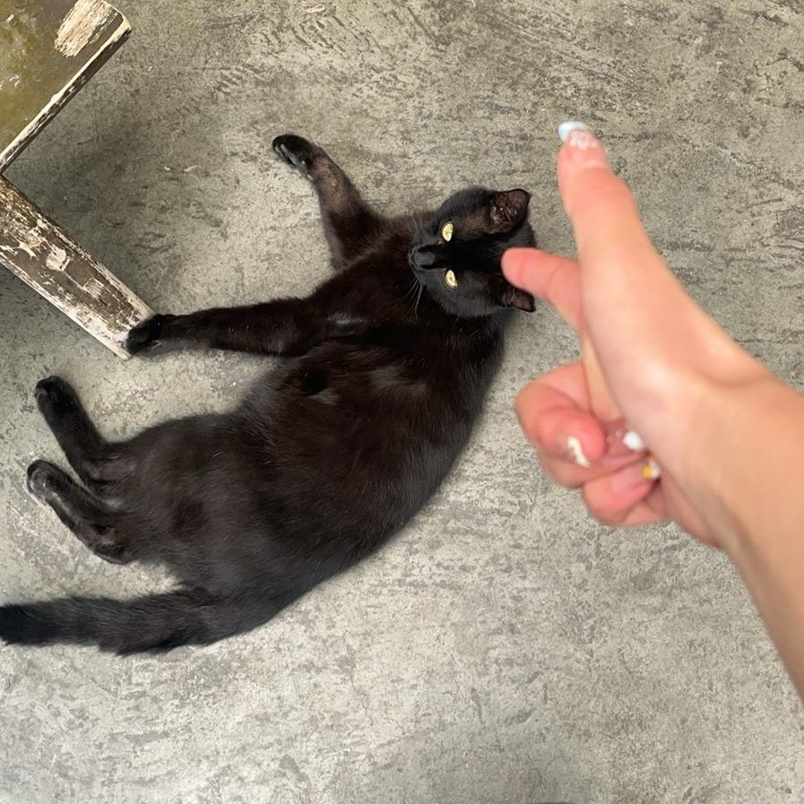 这条小鱼在乎