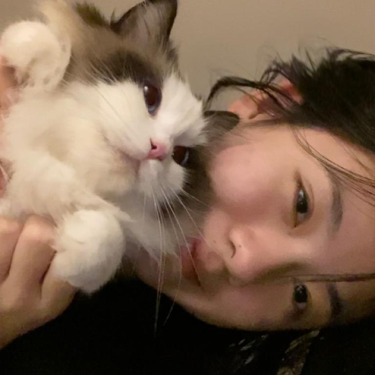 易碎小琳