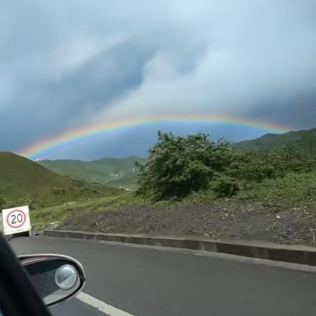 与君同行