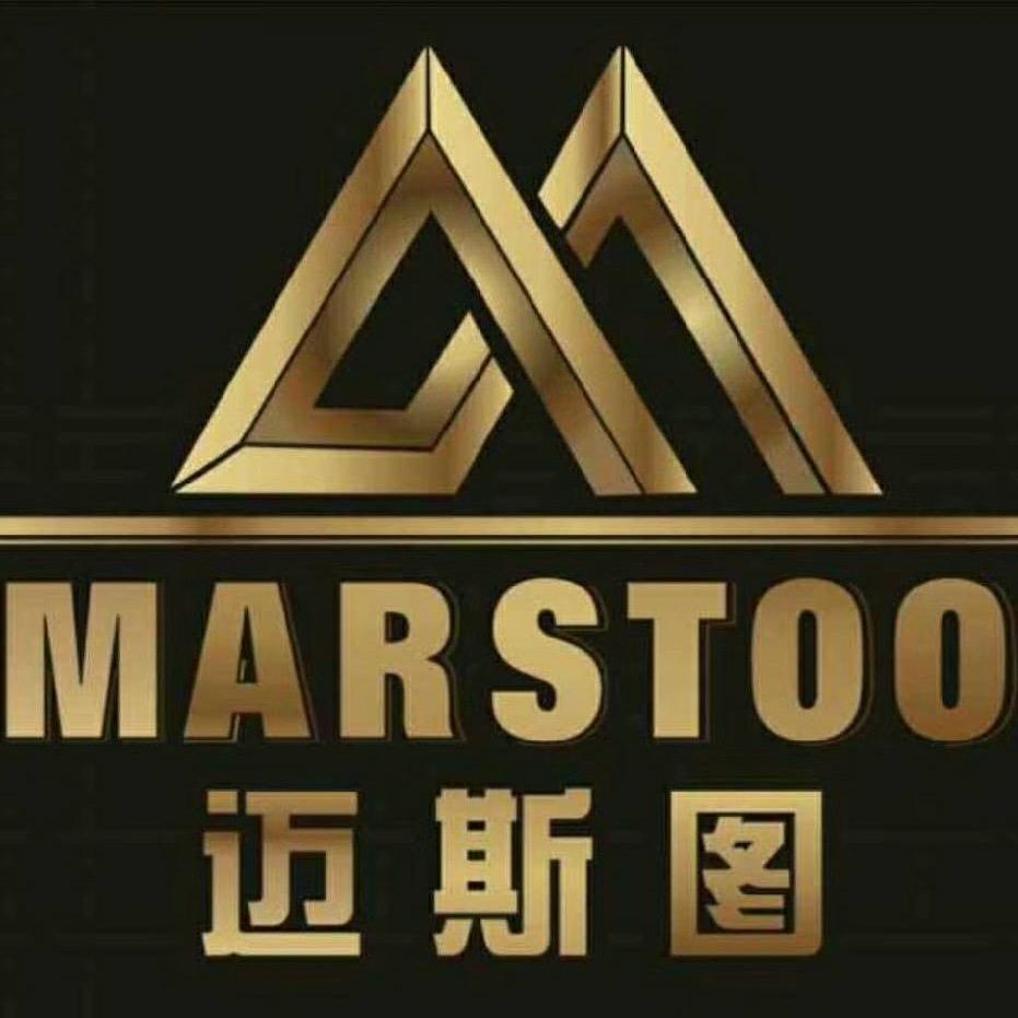 迈斯图欧式汽车美容