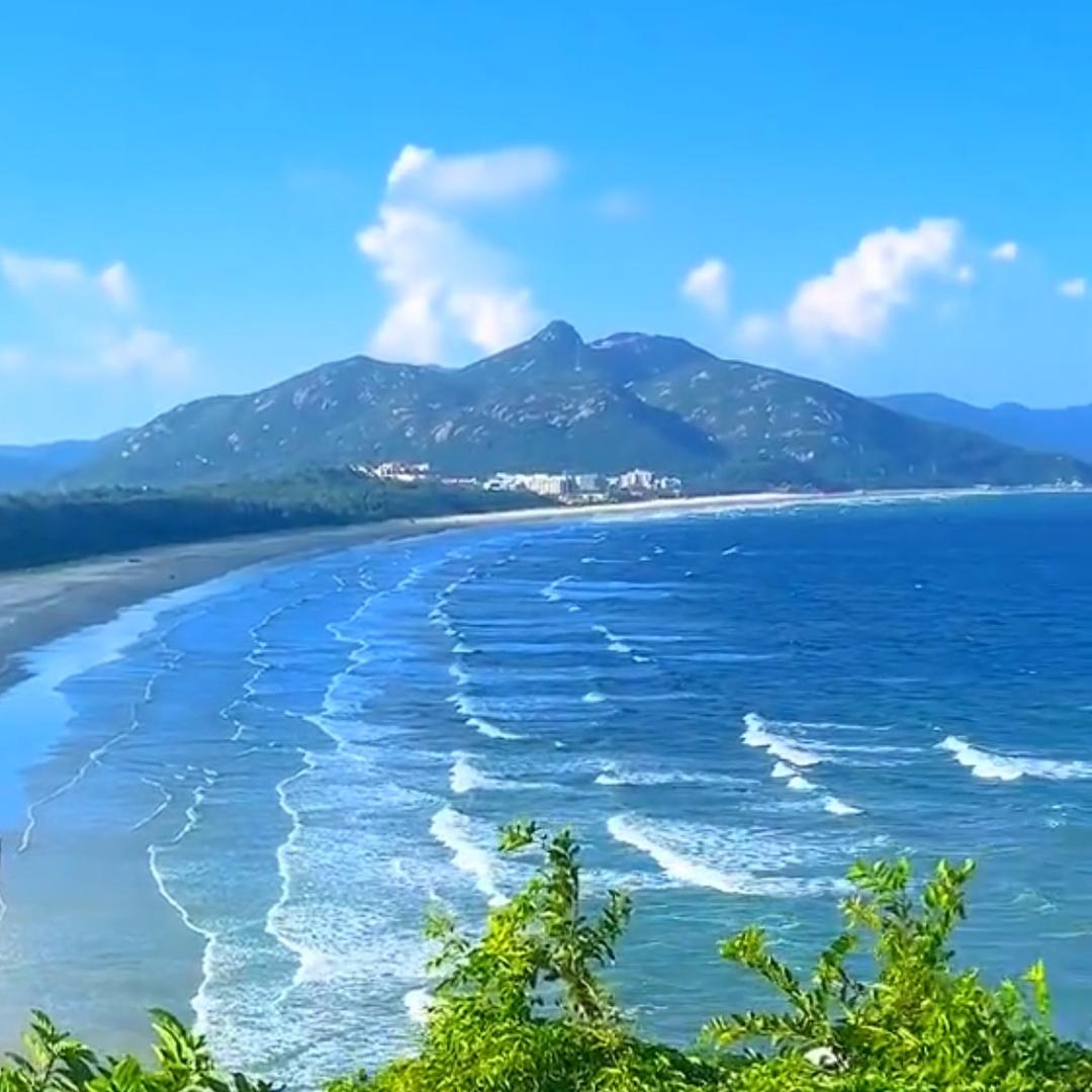 傻子的         冬