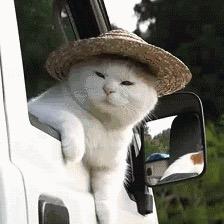 椰奶冻