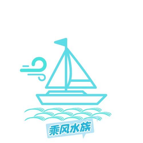 乘风水族
