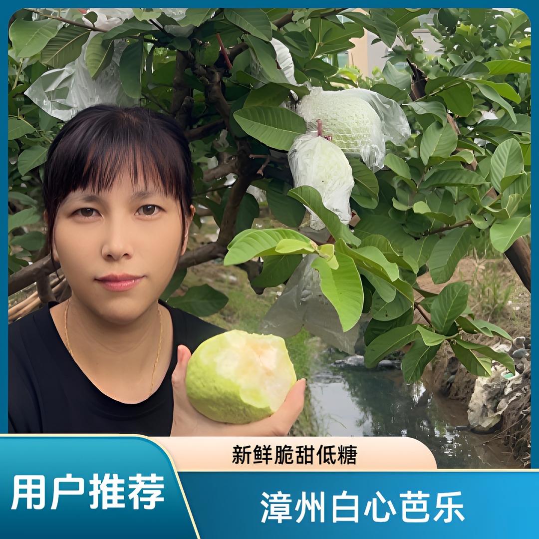 秋丽小农生鲜店