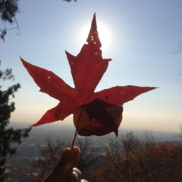 匿名消息