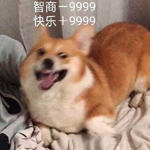 🌈超级土狗等23.5万人.