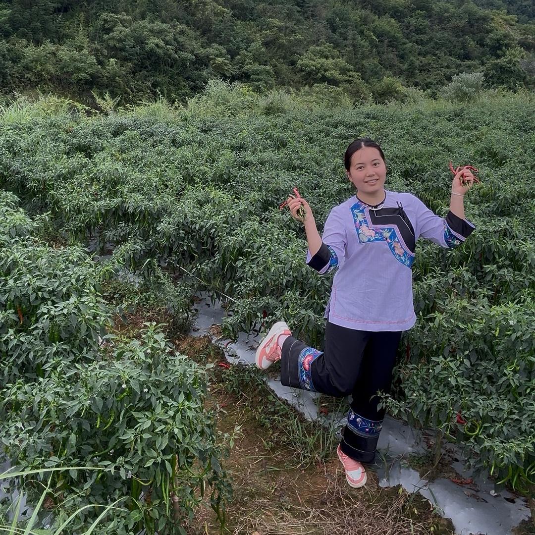 湘野小燕