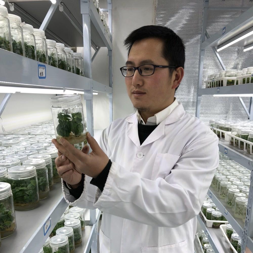 花开半垄溯山农业