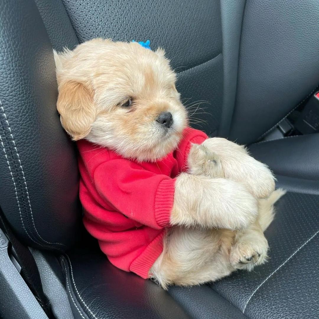 说到爱