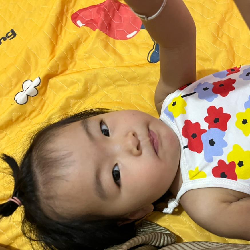 墨墨呀（王者之风）