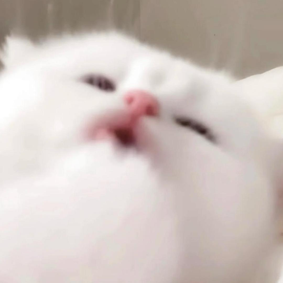 小卡拉咪