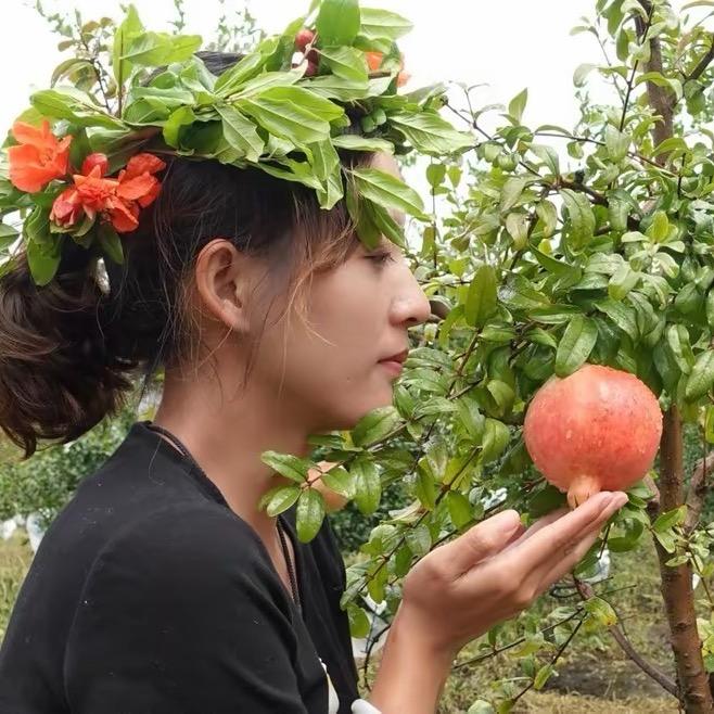 彝姊妹