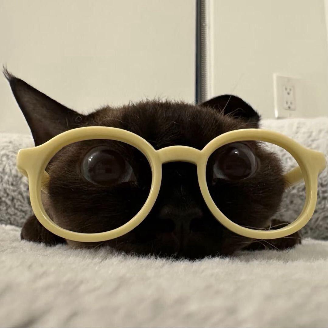 🐏小羊~（见过张艺兴版）