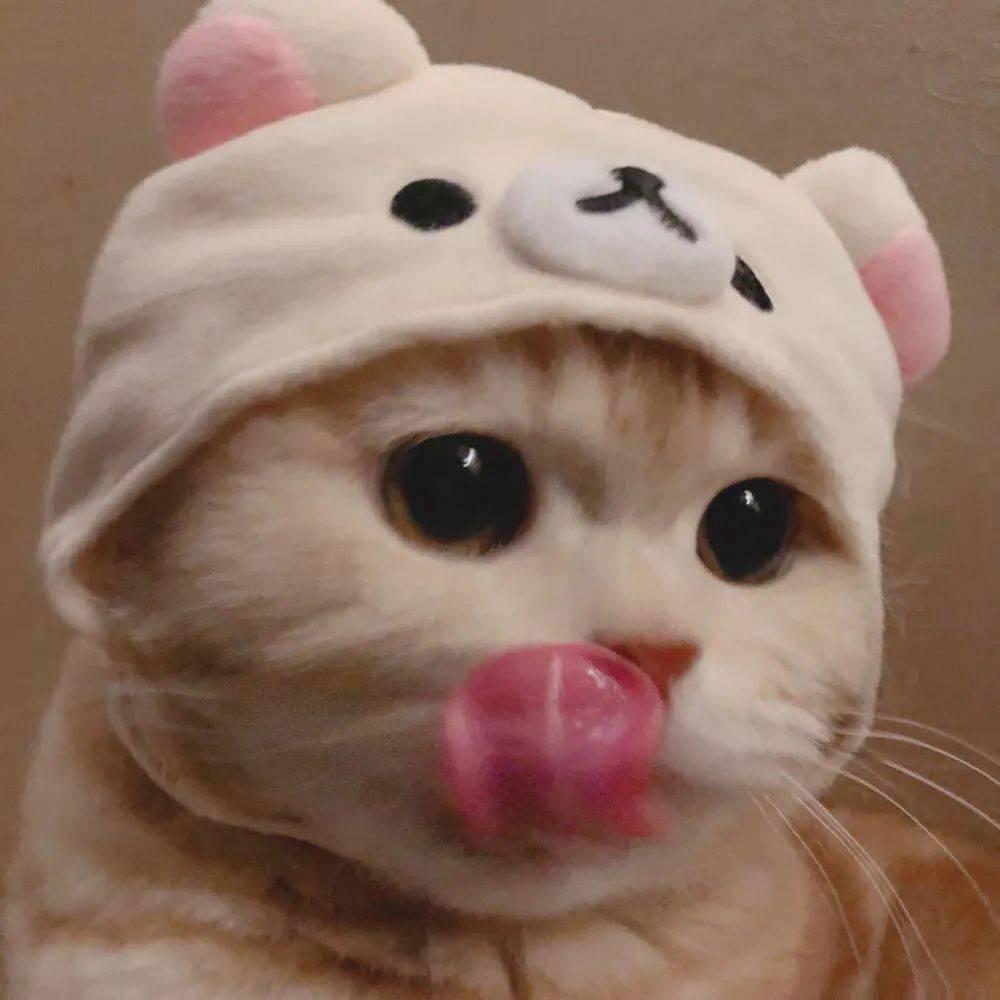 明天会更好