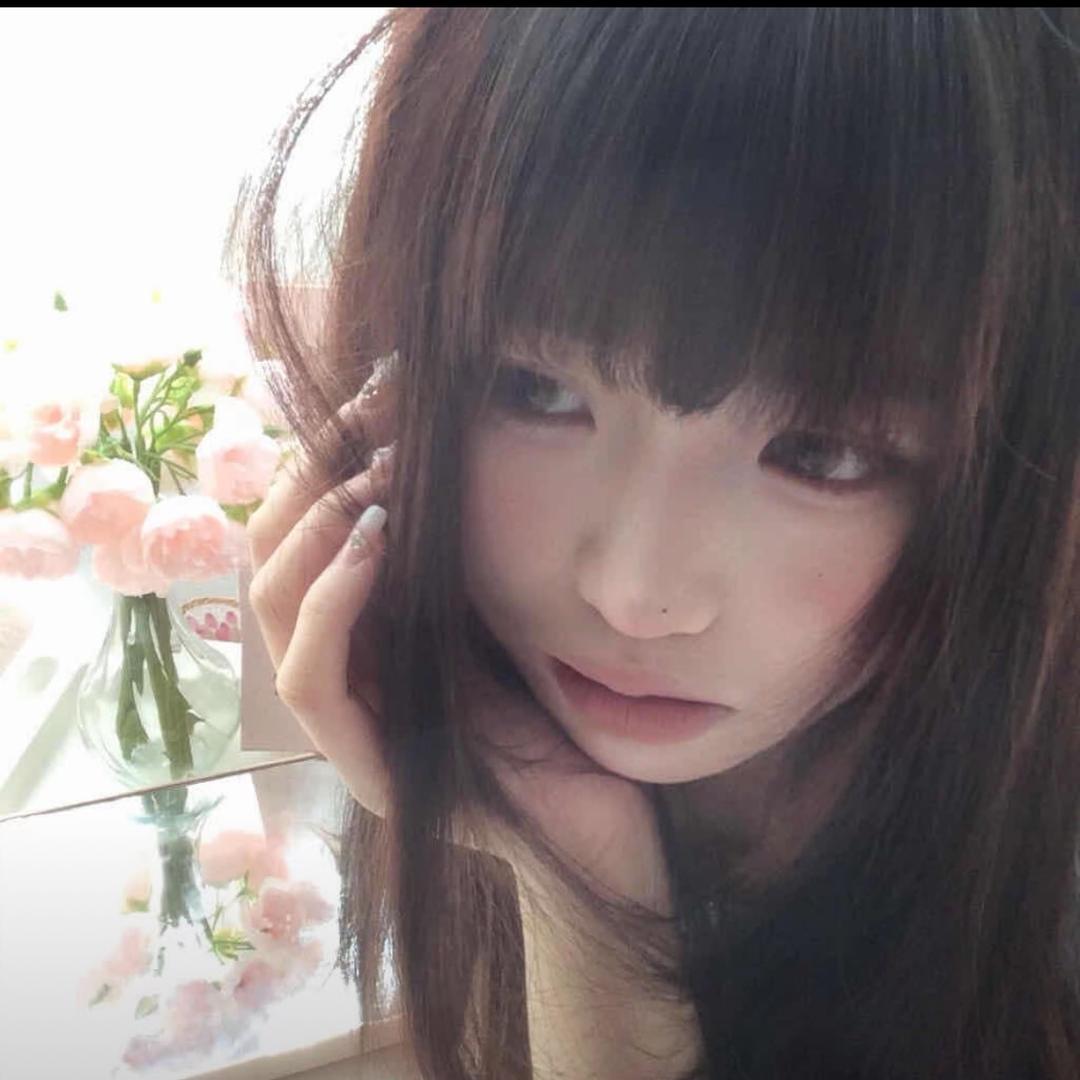 岛旧枝