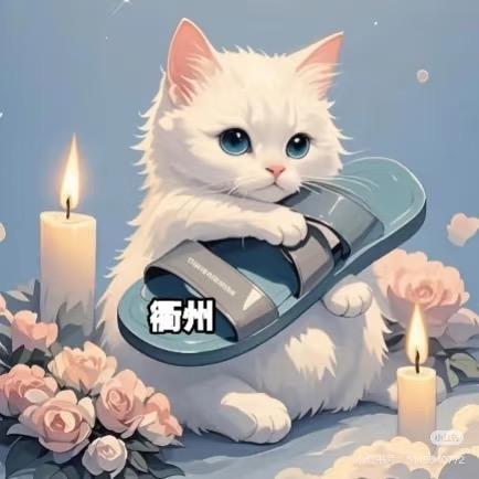 蘑菇 蘑菇