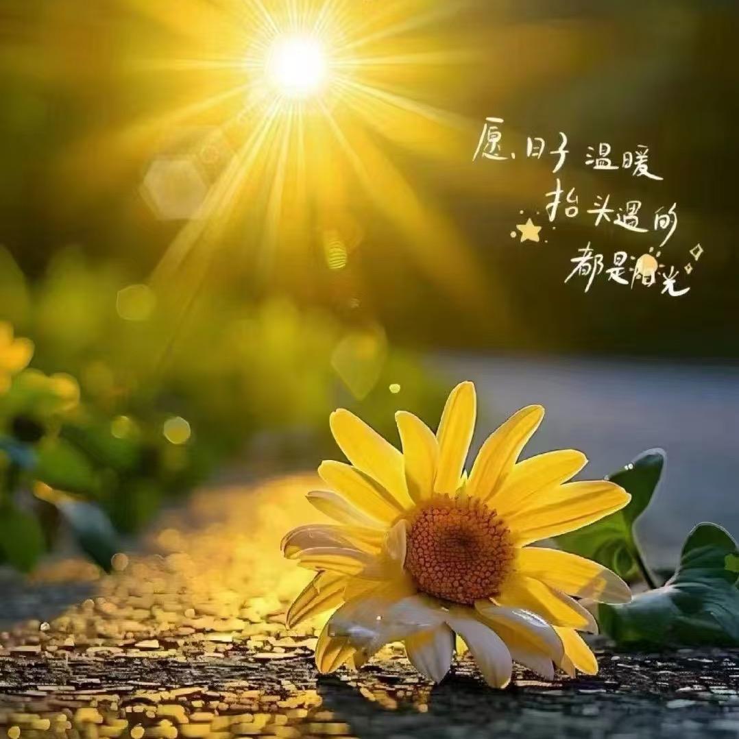 燕子好吖