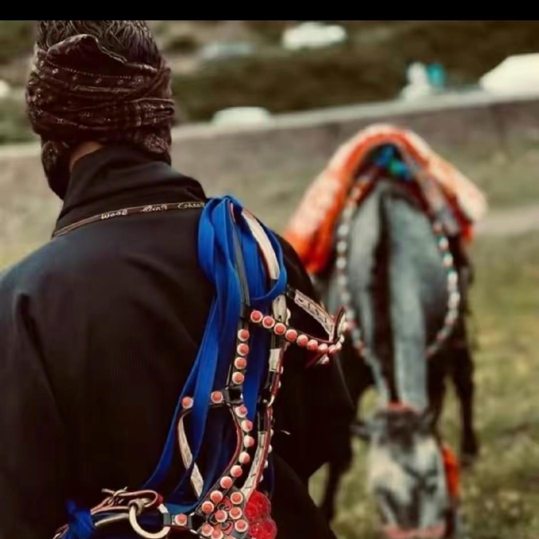 རྟ་ཐོག ࿈ ཕོ་རྒོད࿇