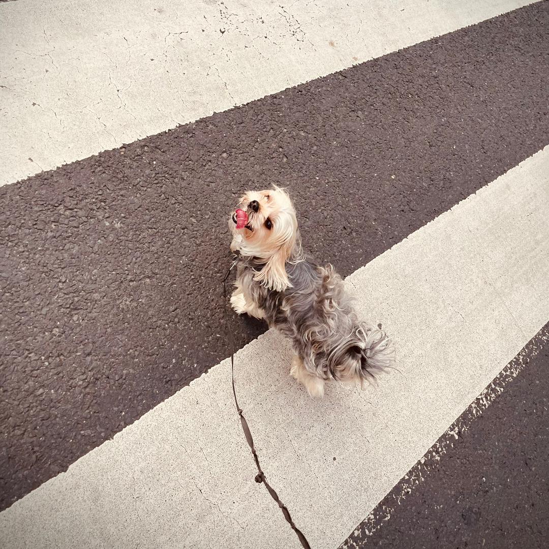 <笑脸>
