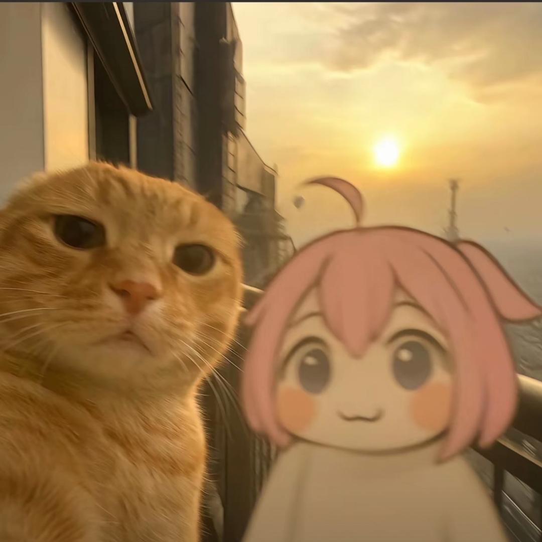生如夏花