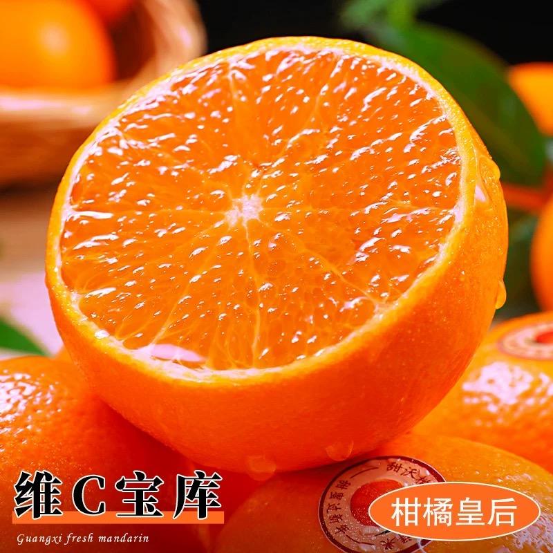 蚂蚁好物
