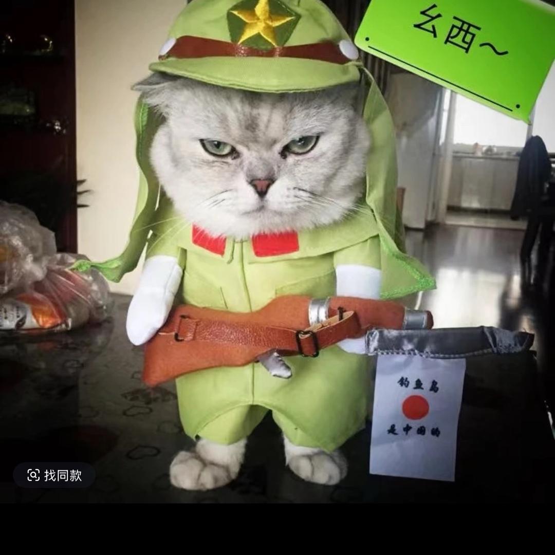 尘埃落🏝️