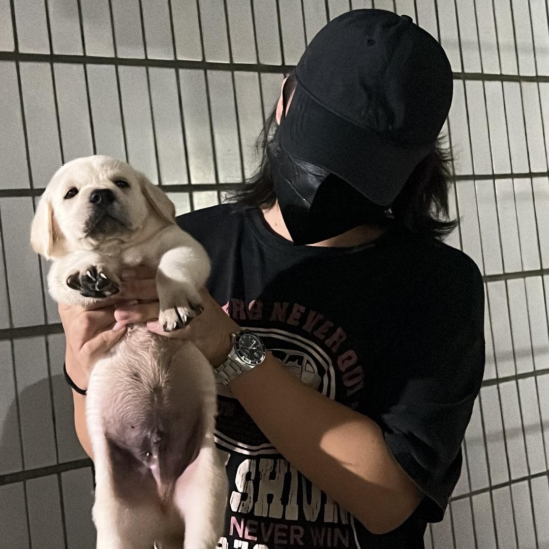贝多芬芳